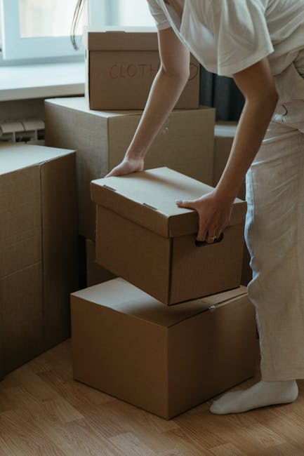A professional removal worker from Man with Van Catford is inside a bright, spacious room with white walls and large arched windows that let in natural daylight. He is carrying two cardboard boxes sta