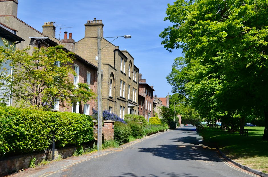 A view of a residential street in Forest Hill Road, Catford Broadway, with a large leafy tree casting shade over the pavement and parked cars lining both sides of the street. The cars include compact 